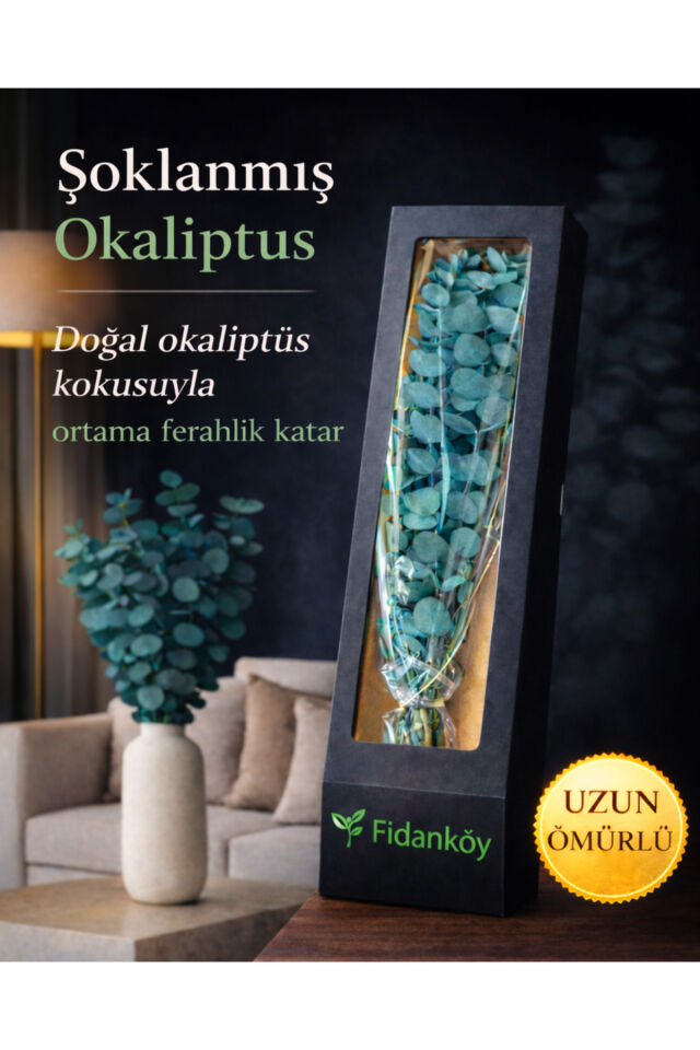 Şoklanmış büyük Okaliptus demeti